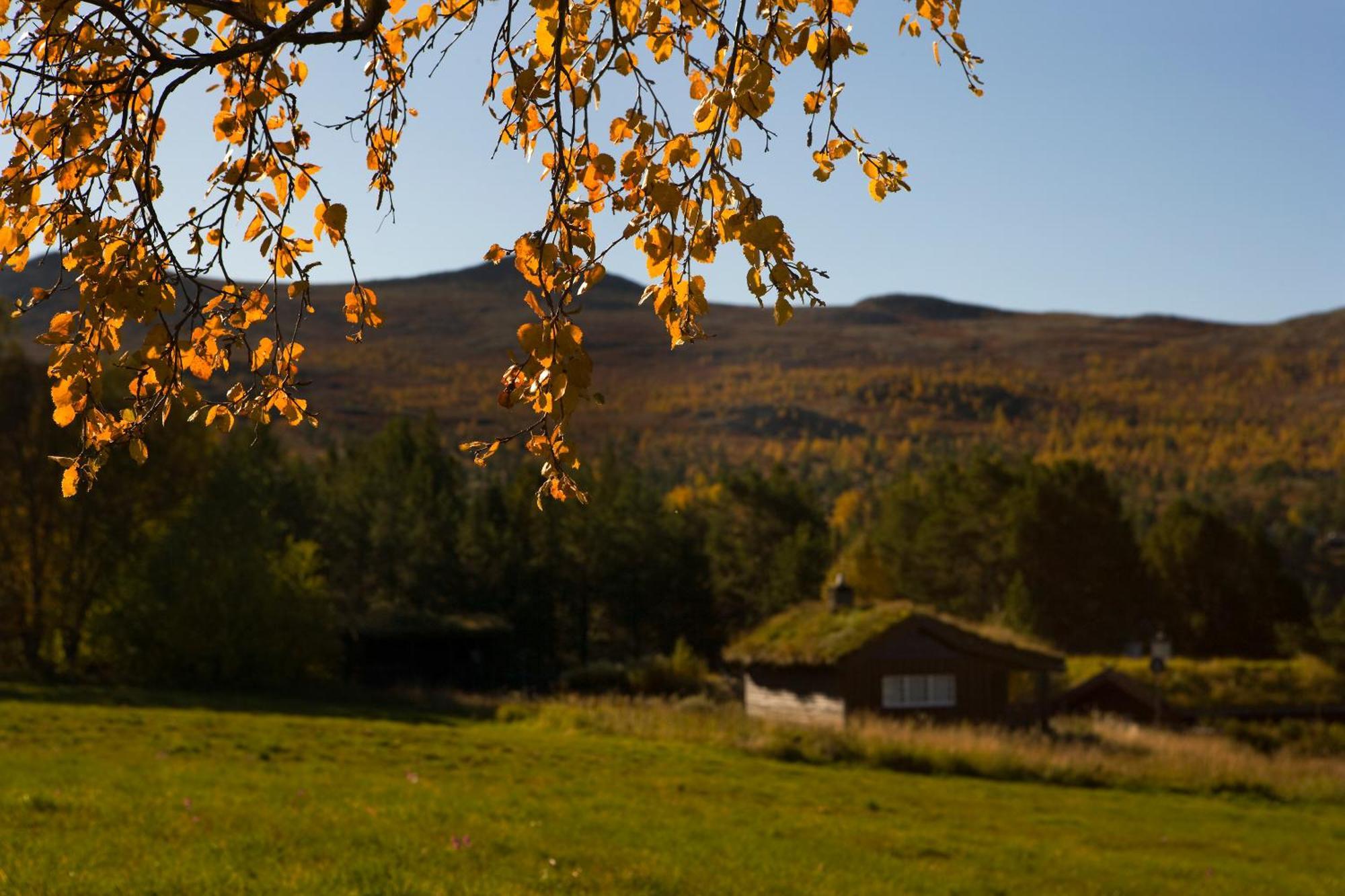 Hotel Oigardseter Fjellstue Høvringen Esterno foto